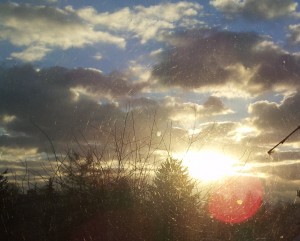 2013-01-31 08.37.11